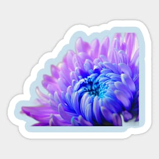 Pink and Purple Flower Sticker